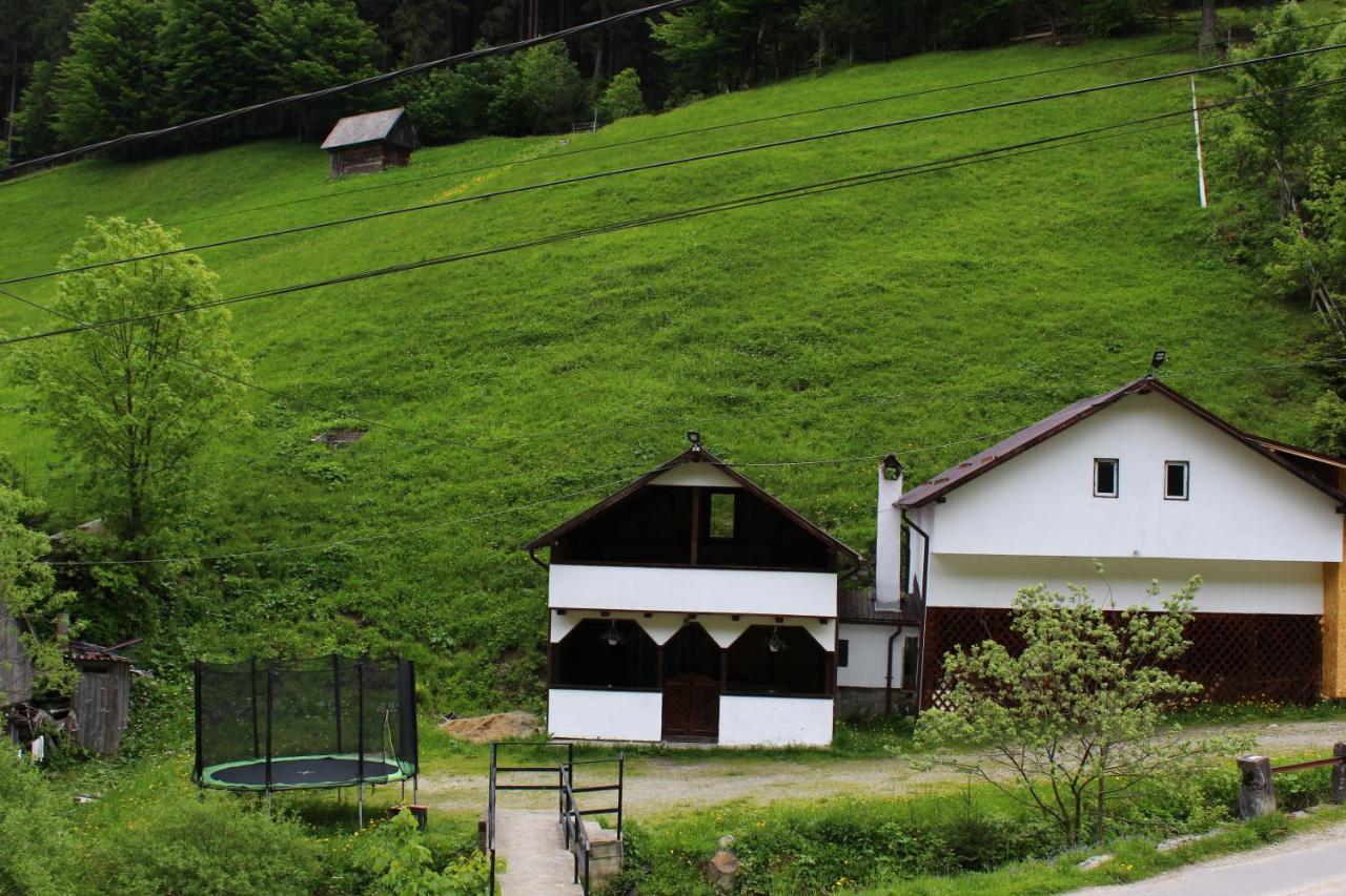 Hotel Casuta De Langa Padure Moeciu De Sus Exterior foto