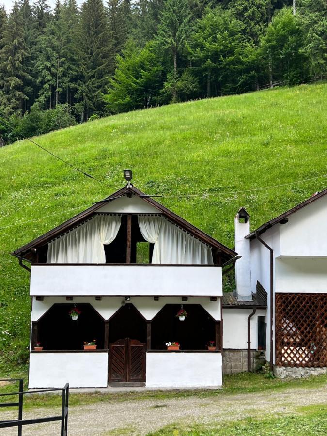 Hotel Casuta De Langa Padure Moeciu De Sus Exterior foto