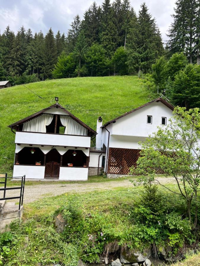 Hotel Casuta De Langa Padure Moeciu De Sus Exterior foto