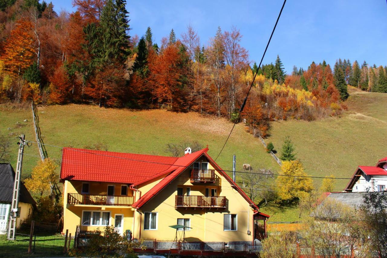 Hotel Casuta De Langa Padure Moeciu De Sus Exterior foto