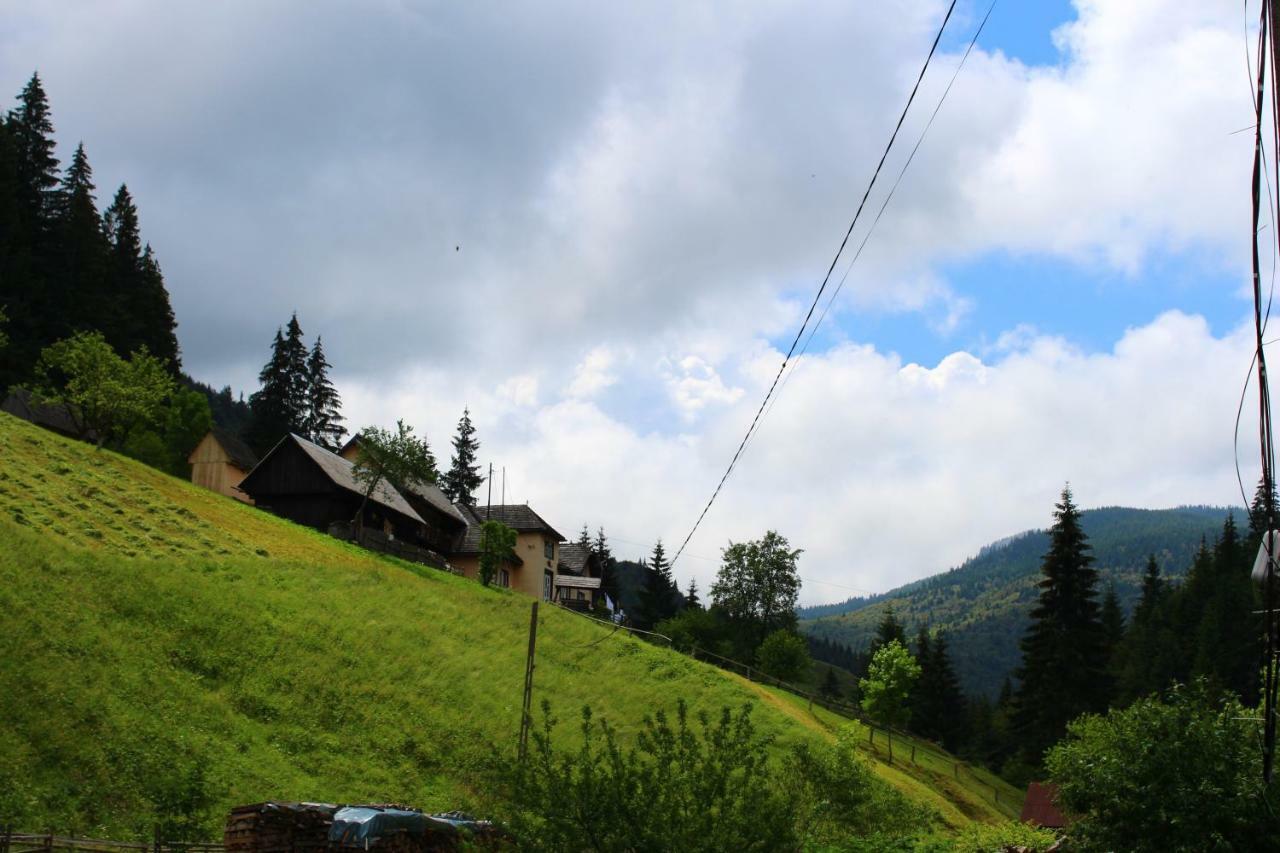Hotel Casuta De Langa Padure Moeciu De Sus Exterior foto