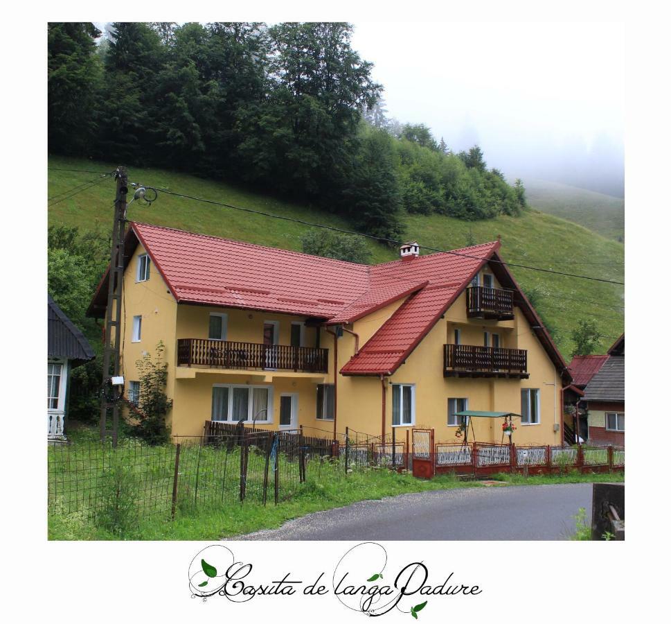 Hotel Casuta De Langa Padure Moeciu De Sus Exterior foto